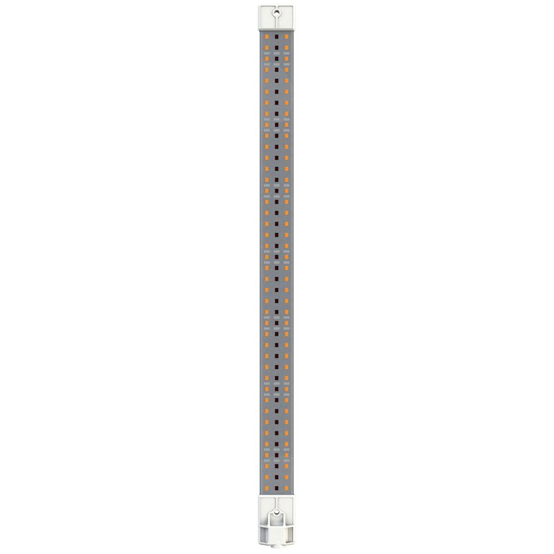 Secret Jardin Cosmorrow LED 20W Infrarot