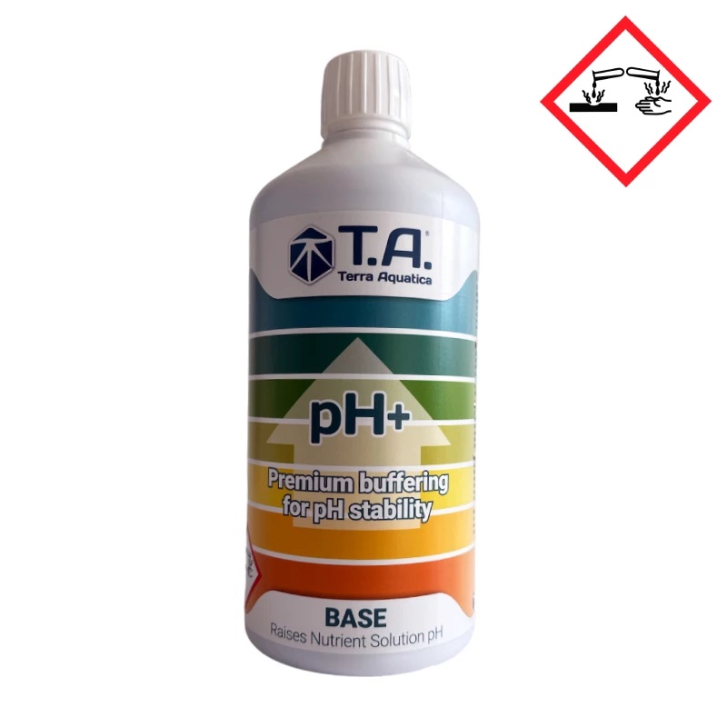 T.A. ph+