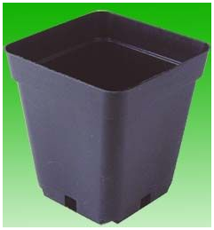 GB6dKoGV1uoAAAAASUVORK5CYII --IMPORT--